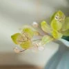 Green-Hairpin-Vintage-Style-Ladies-Hanfu-Hair-Accessories-Small-U-shaped-Headpin-3 Green Hairpin Vintage Style Ladies Hanfu Hair Accessories Small U-shaped Headpin