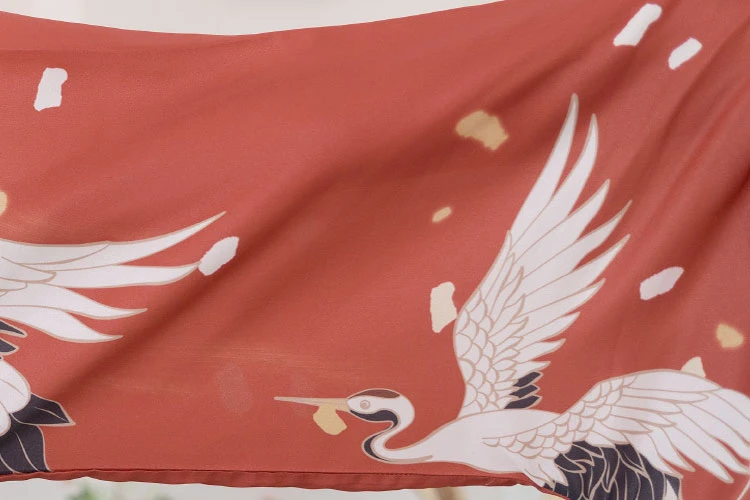 Flying Crane hanfu dress