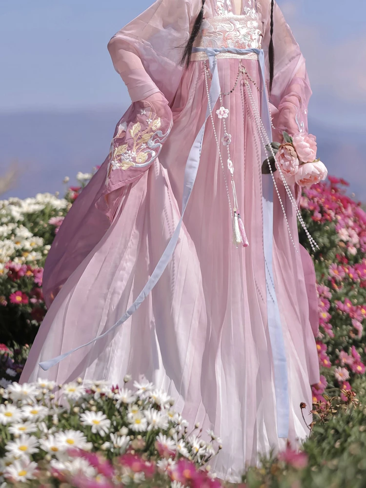 Ladies Qixiong Shanqun North and South Dynasty Hanfu Style Embroidered Large Sleeve Skirt