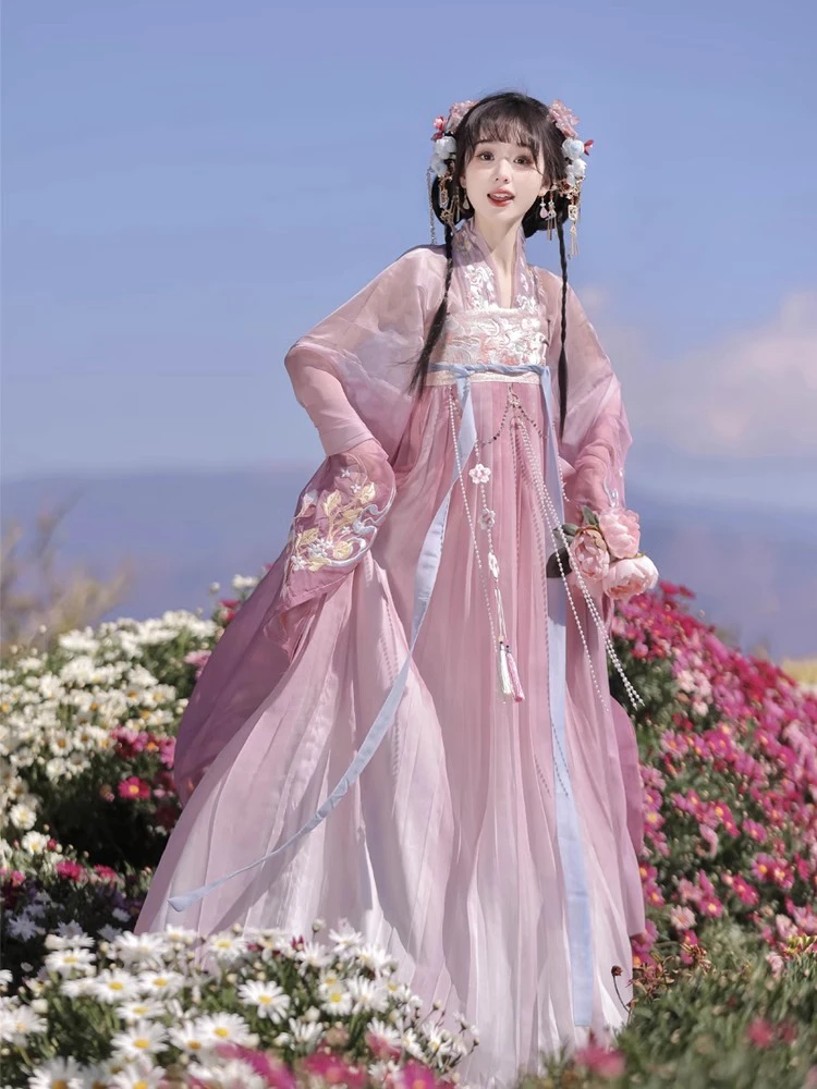 Ladies Qixiong Shanqun North and South Dynasty Hanfu Style Embroidered Large Sleeve Skirt