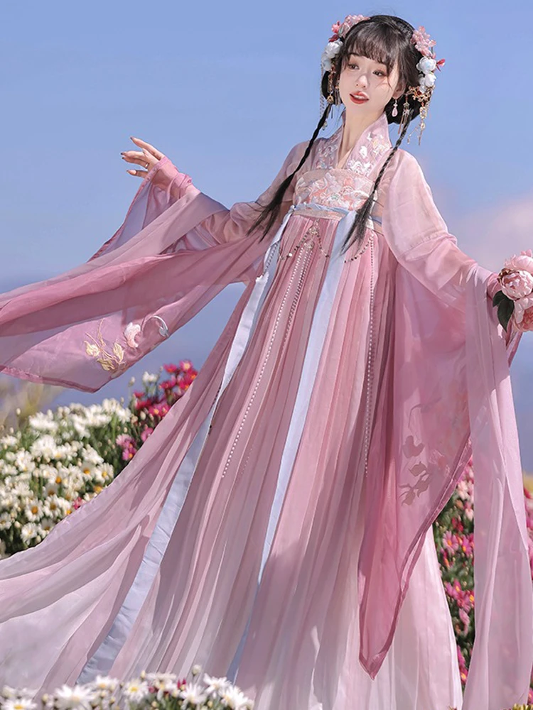 Ladies Qixiong Shanqun North and South Dynasty Hanfu Style Embroidered Large Sleeve Skirt