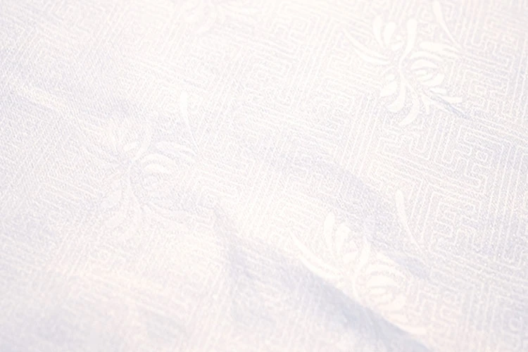 Jacquard Daopao Men Hanfu Robe