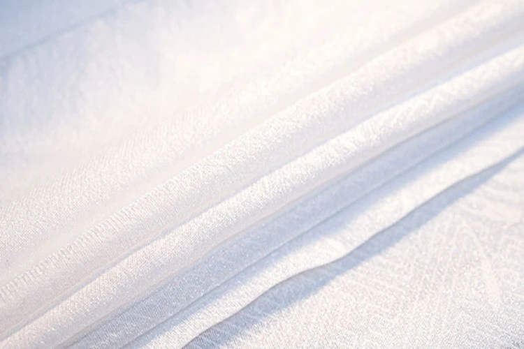 Jacquard Daopao Men Hanfu Robe