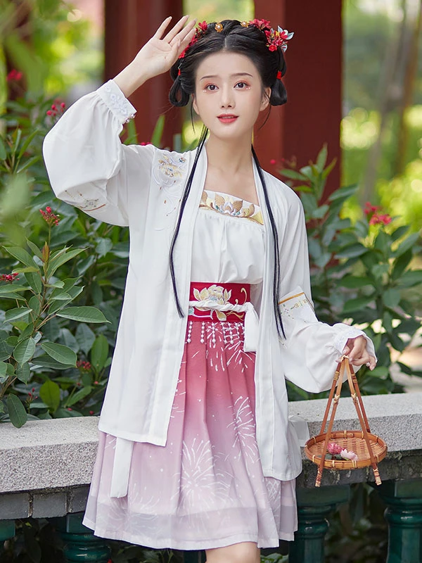 top 10 types of hanfu dresses