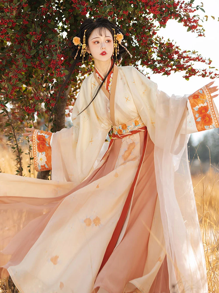 Women Wei Jin Qiyao Hanfu Autumn Casual Ruqun Dress