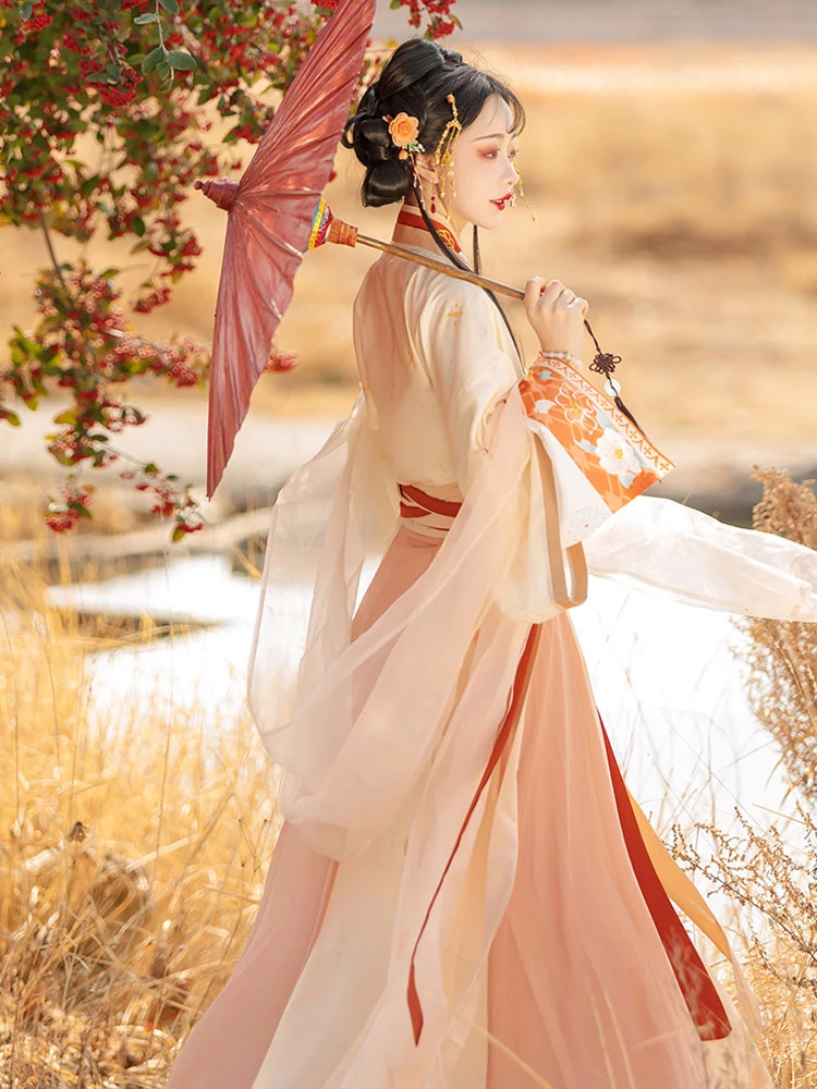 Women Wei Jin Qiyao Hanfu Autumn Casual Ruqun Dress