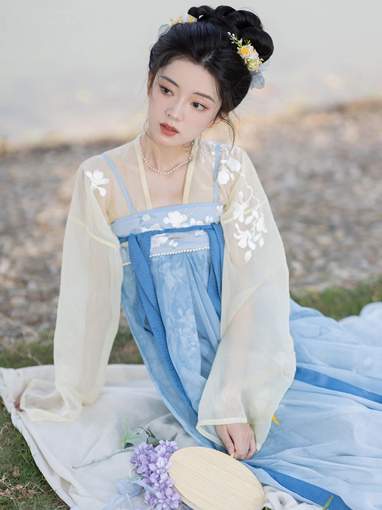 Lady Tang Dynasty Qixiong Shanqun Dress Set Fresh Improved Hanfu