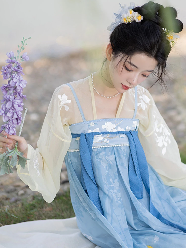Lady Tang Dynasty Qixiong Shanqun Dress Set Fresh Improved Hanfu