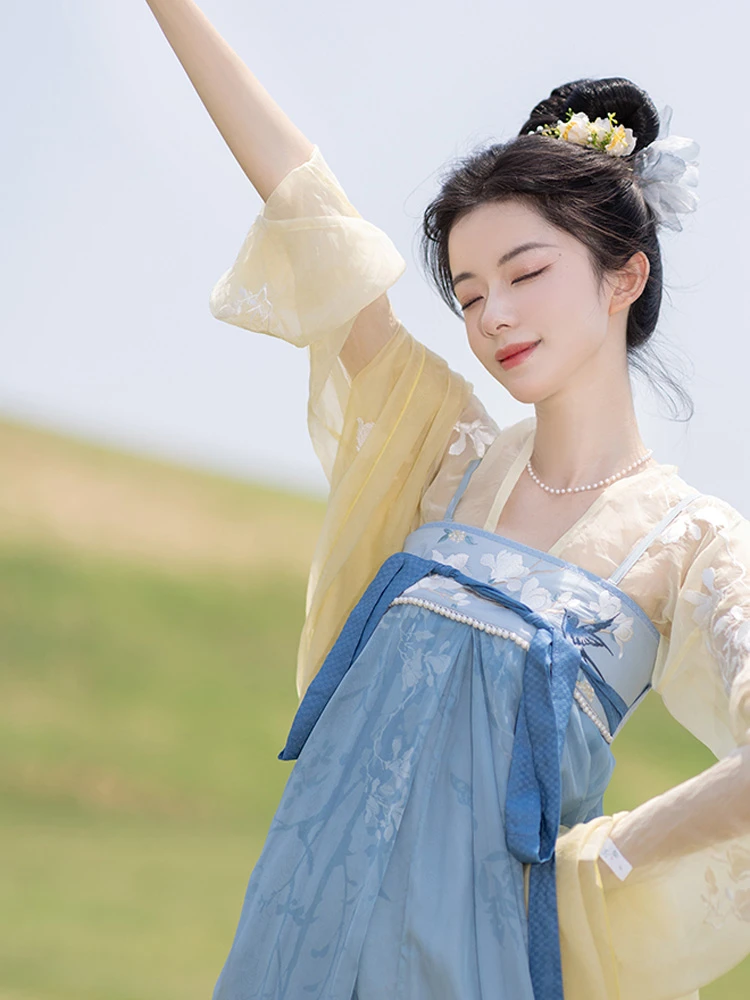 Lady Tang Dynasty Qixiong Shanqun Dress Set Fresh Improved Hanfu