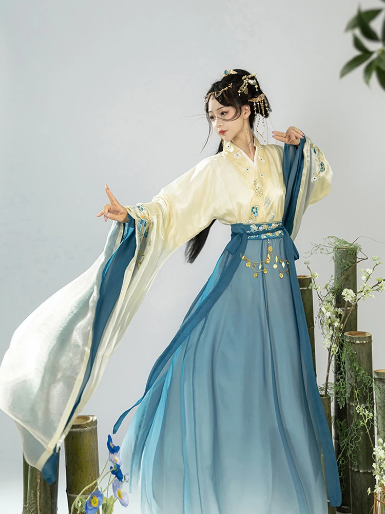 Wei Jin Hanfu Women's Qiyao Dress Wide Sleeve North and South Dynasty Set