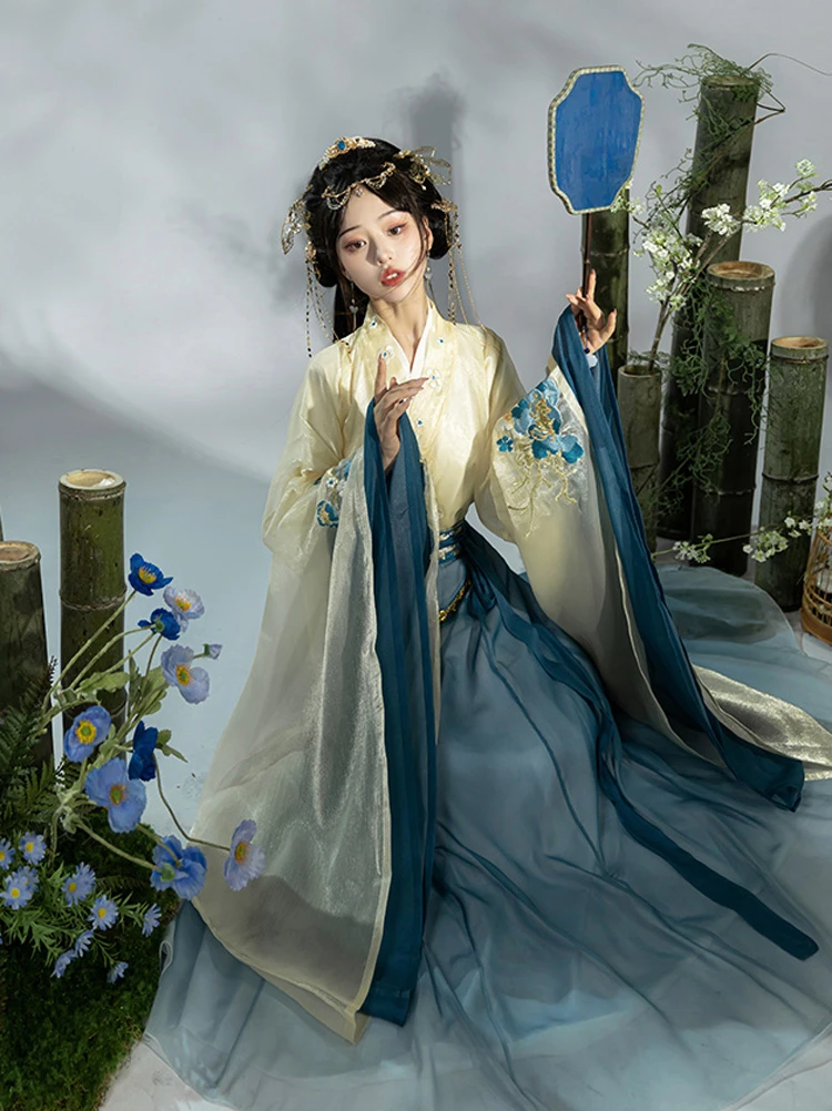 Wei Jin Hanfu Women's Qiyao Dress Wide Sleeve North and South Dynasty Set