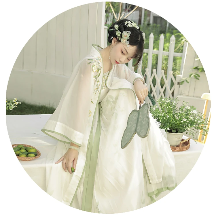 Summer Ladies Elegant Hanfu Daily Style Song Dynasty Dress