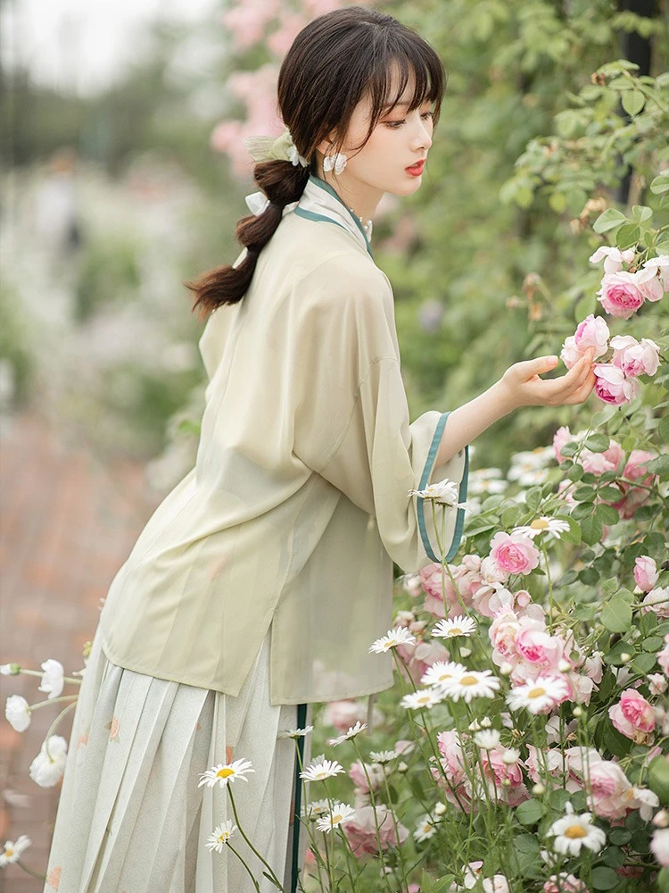 Woman Spring Song Dynasty Hanfu Pleated Skirt for Daily