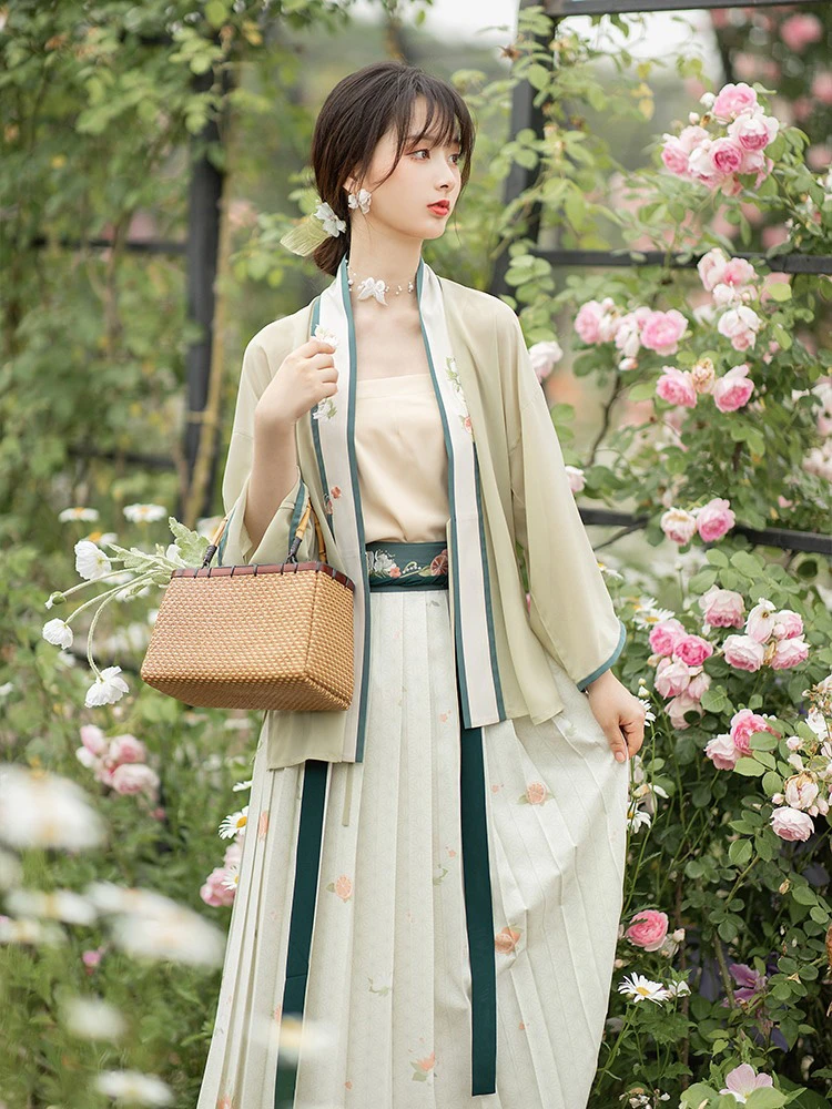 Woman Spring Song Dynasty Hanfu Pleated Skirt for Daily