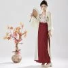 Women's-Song-Fashion-Hanfu-Long-Shirt-Fashion-Daily-Skirt-2 Women's Song Fashion Hanfu Long Shirt Fashion Daily Skirt