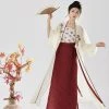 Women's-Song-Fashion-Hanfu-Long-Shirt-Fashion-Daily-Skirt-4 Women's Song Fashion Hanfu Long Shirt Fashion Daily Skirt