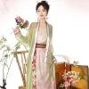 Pink-Women-Hanfu-Song-Dynasty-Casual-Skirt-for-Summer-3 Pink Women Hanfu Song Dynasty Casual Skirt for Summer