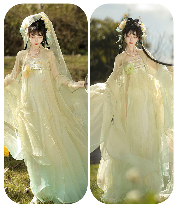 Tang Dynasty Hezi Qun Women Wide-Sleeved Elegant Summer Skirt