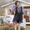 Women-Ming-Hanfu-Purple-Style-Bijia-Set-Autumn-Mamian-Skirt-3 Women Ming Hanfu Purple Style Bijia Set Autumn Mamian Skirt
