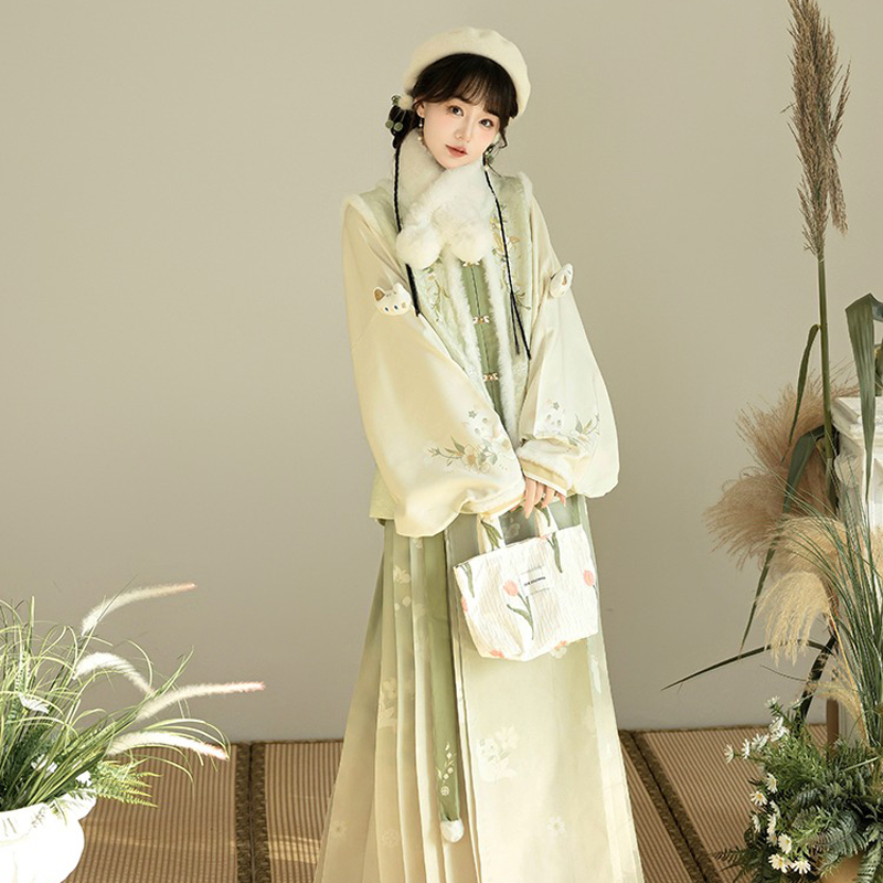 Winter-Women-Hanfu-Fluffy-Lining-Ming-Dynasty-Mamian-Qun-Set-2 Winter Women Hanfu Fluffy Lining Ming Dynasty Mamian Qun Set