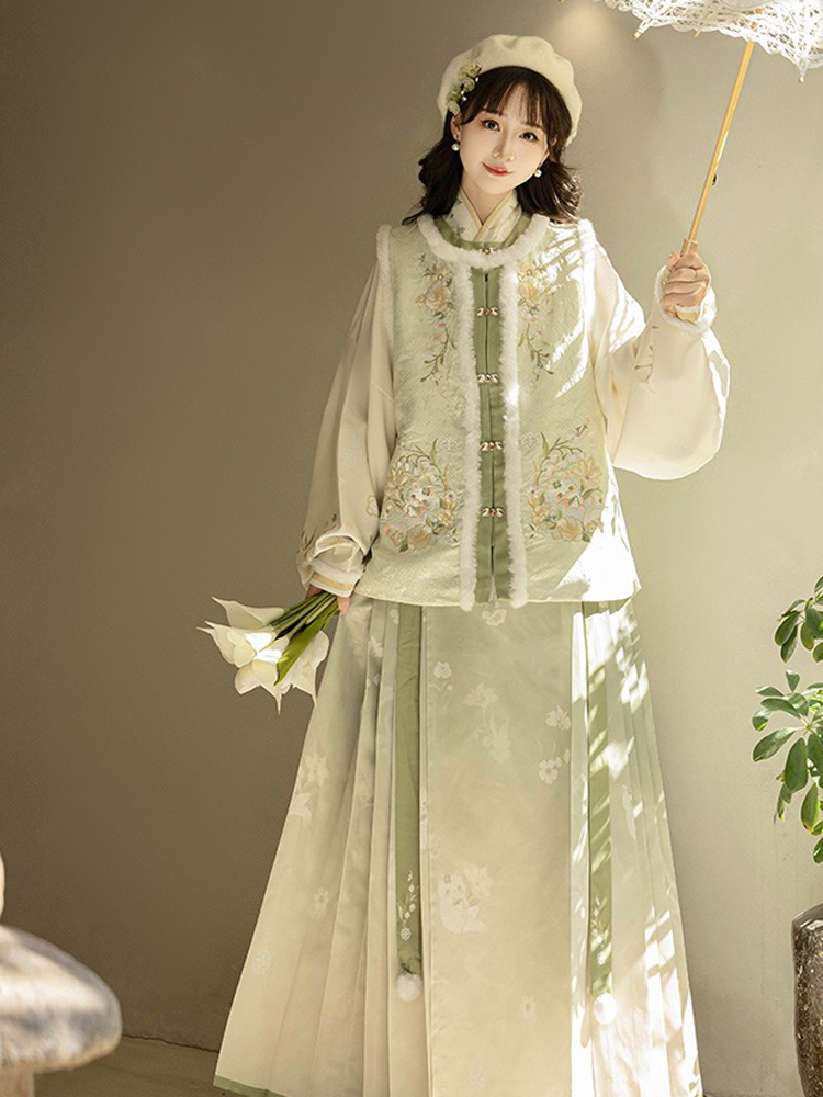 Winter Women Hanfu Fluffy Lining Ming Dynasty Mamian Qun Set