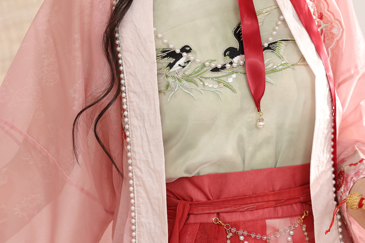 Song Dynasty Women Hanfu Autumn Swallow Ethereal Skirt Set