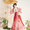 Song-Dynasty-Women-Hanfu-Autumn-Swallow-Ethereal-Skirt-Set-2 Song Dynasty Women Hanfu Autumn Swallow Ethereal Skirt Set
