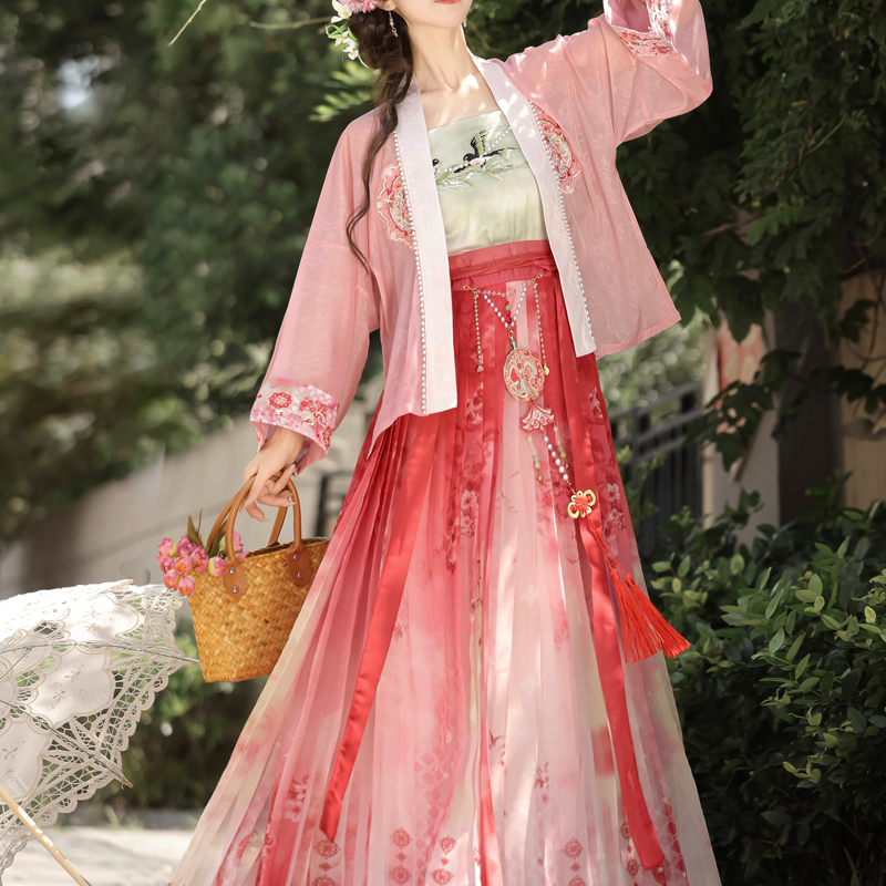 Song-Dynasty-Women-Hanfu-Autumn-Swallow-Ethereal-Skirt-Set-4 Song Dynasty Women Hanfu Autumn Swallow Ethereal Skirt Set