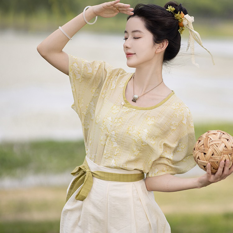 Tang-Dynasty-Short-Sleeved-Summer-Simple-Hanfu-3 Tang Dynasty Short Sleeved Summer Simple Hanfu