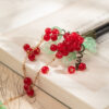 Classic-Wooden-Hairpin-for-Hanfu-Minimalist-Berry-Inspired-Spring-Festival-Hair-Ornament-3 Classic Wooden Hairpin for Hanfu Minimalist Berry Inspired Spring Festival Hair Ornament