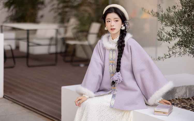 Winter Women Ming Dynasty Style Hanfu Short Ao Thickened Round Neck Coat