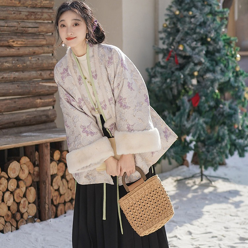 Women-Winter-Mamian-Aoqun-Set-Casual-Ming-Dynasty-Hanfu-4 Women Winter Mamian Aoqun Set Casual Ming Dynasty Hanfu