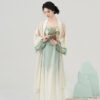 Tang-Dynasty-inspired-Hanfu-style-strapless-dress-set-with-Han-elements-summer-two-piece-ensemble-4 Qing Shan Xing (青山行)