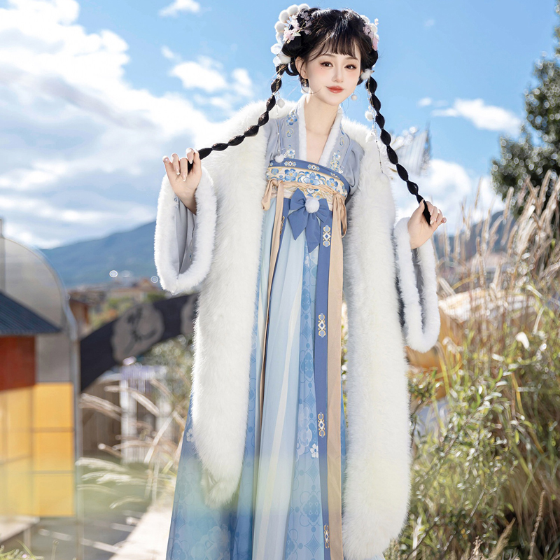Women's-Tang-Dynasty-Hanfu-Winter-Thickened-Qixiong-Shanqun-with-Shawl-3 Women's Tang Dynasty Hanfu Winter Thickened Qixiong Shanqun with Shawl