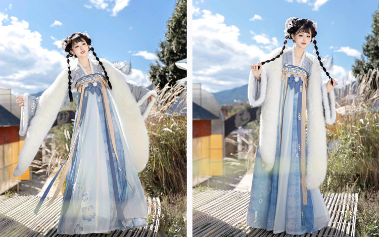 Women's Tang Dynasty Hanfu Winter Thickened Qixiong Shanqun with Shawl