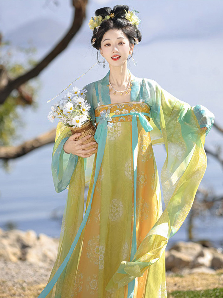 Spring Women Hanfu Stunning Tang Dynasty Qixiong Shanqun Set