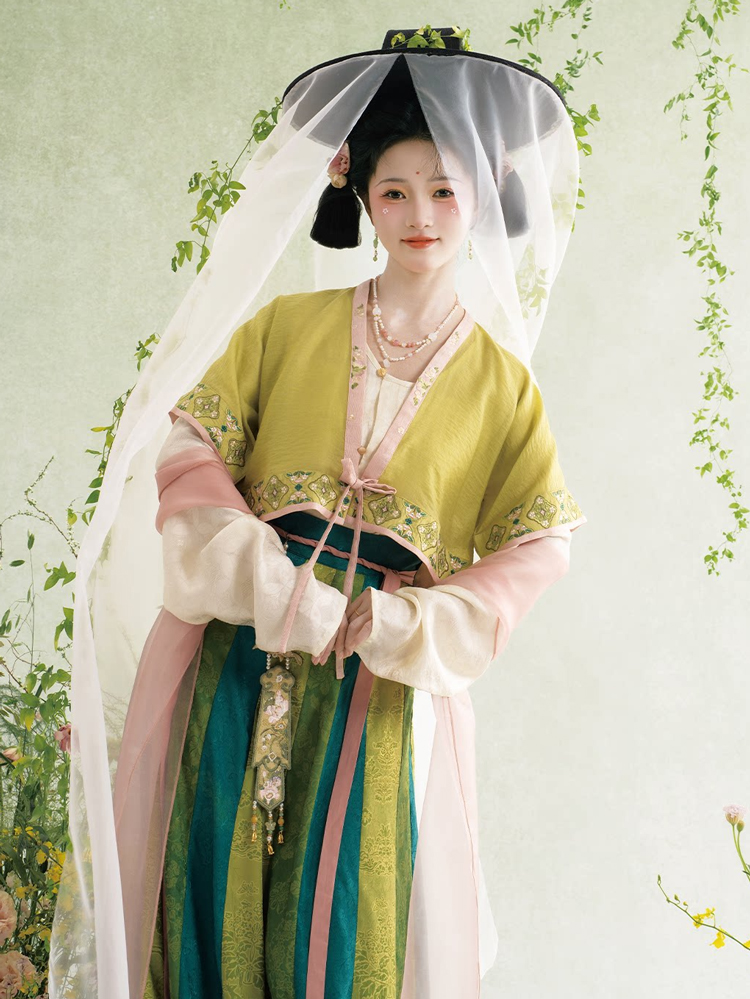 Traditional Tang Dynasty Hanfu Set Everyday Spring Women Attire