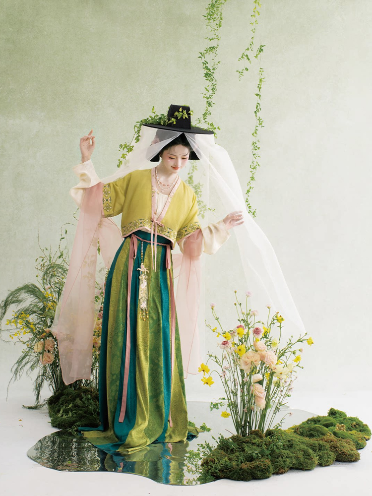Traditional Tang Dynasty Hanfu Set Everyday Spring Women Attire