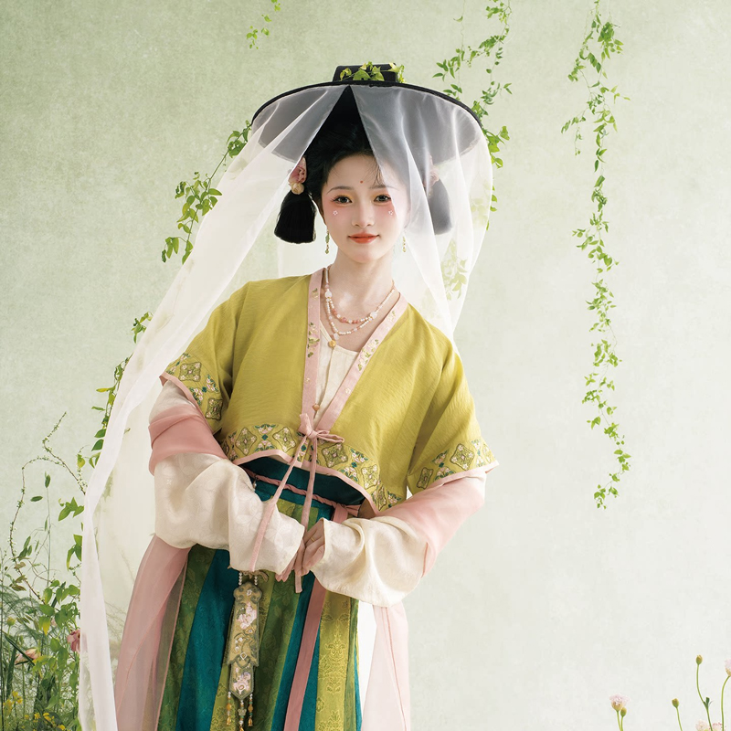 Traditional-Tang-Dynasty-Hanfu-Set-Everyday-Spring-Women-Attire-2 Traditional Tang Dynasty Hanfu Set Everyday Spring Women Attire