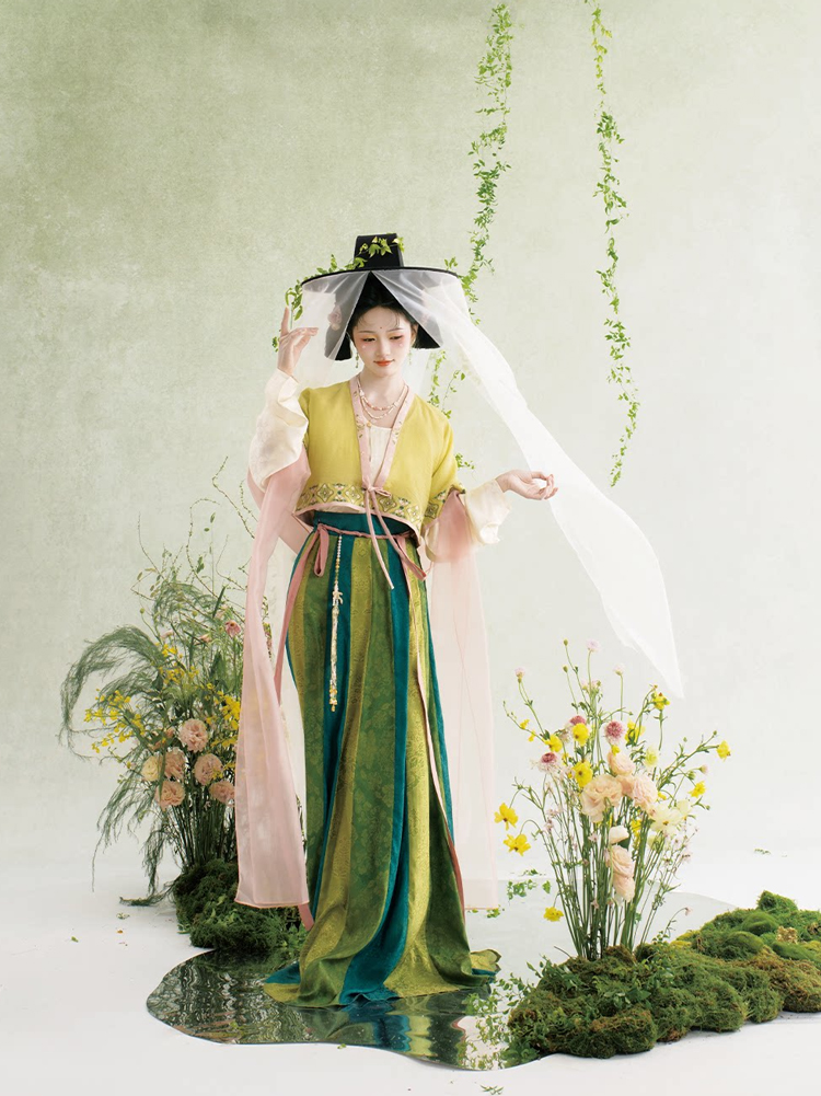 Traditional Tang Dynasty Hanfu Set Everyday Spring Women Attire