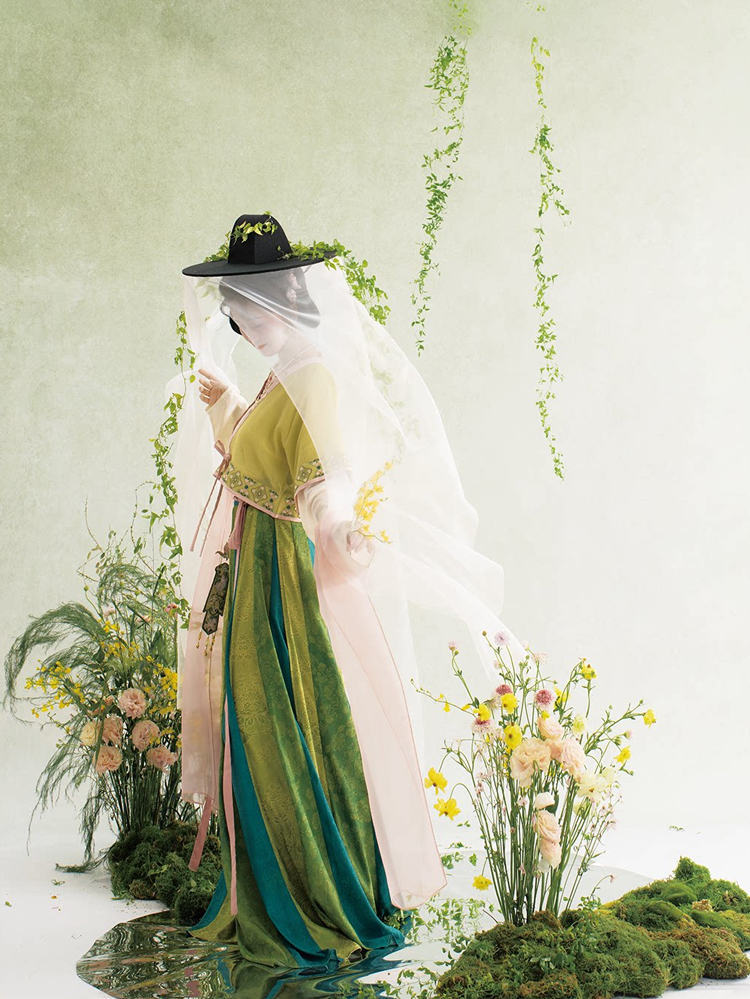 Traditional Tang Dynasty Hanfu Set Everyday Spring Women Attire