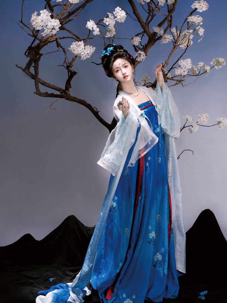 Traditional Tang Dynasty Women Hanfu in the Fa Men Si Style Blue Color Scheme