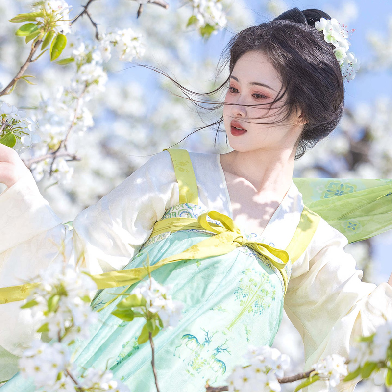 Women-Spring-Green-Tang-Dynasty-Qixiong-Shanqun-Hanfu-Set-2 Women Spring Green Tang Dynasty Qixiong Shanqun Hanfu Set