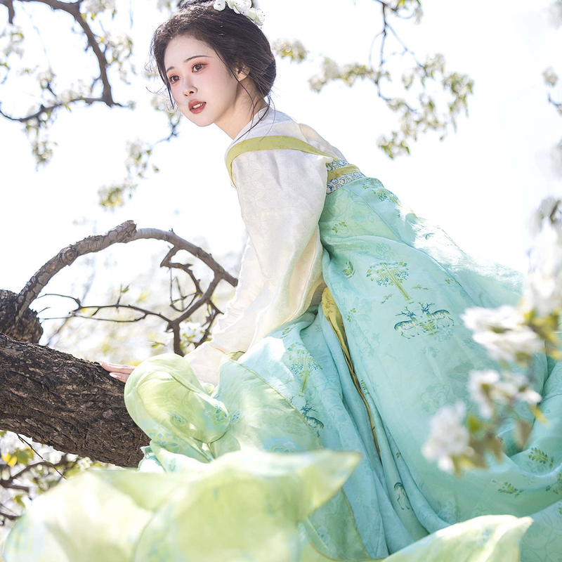 Women-Spring-Green-Tang-Dynasty-Qixiong-Shanqun-Hanfu-Set-4 Women Spring Green Tang Dynasty Qixiong Shanqun Hanfu Set