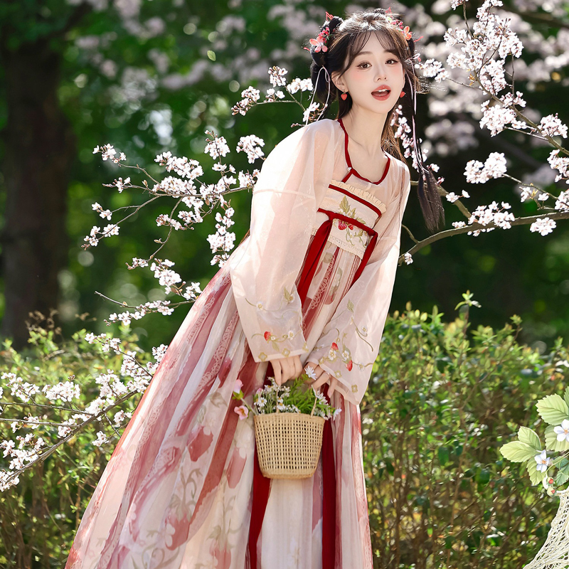 Women-Tang-Dynasty-Hanfu-Set-Qixiong-Style-Strawberry-Design-Fresh-Casual-2 Women Tang Dynasty Hanfu Set Qixiong Style Strawberry Design Fresh Casual