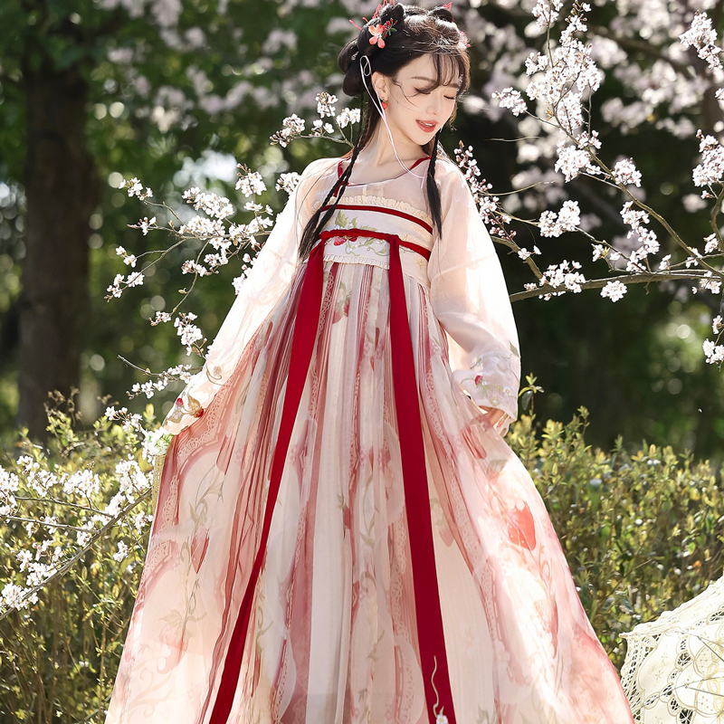 Women-Tang-Dynasty-Hanfu-Set-Qixiong-Style-Strawberry-Design-Fresh-Casual-3 Women Tang Dynasty Hanfu Set Qixiong Style Strawberry Design Fresh Casual