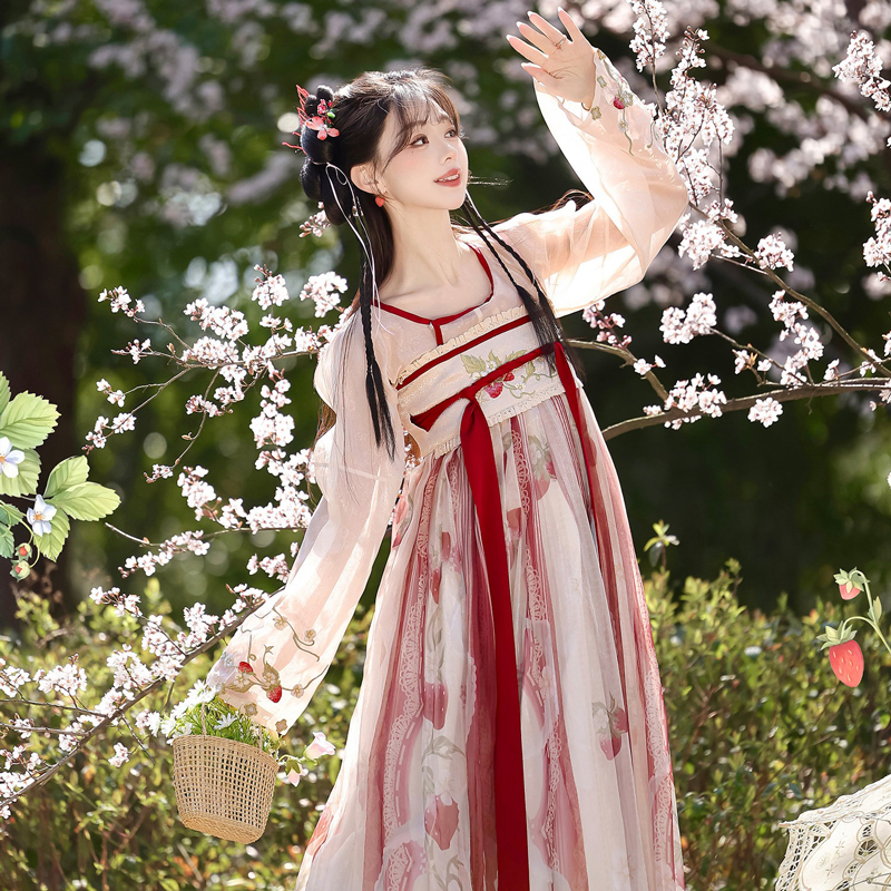 Women-Tang-Dynasty-Hanfu-Set-Qixiong-Style-Strawberry-Design-Fresh-Casual-4 Women Tang Dynasty Hanfu Set Qixiong Style Strawberry Design Fresh Casual