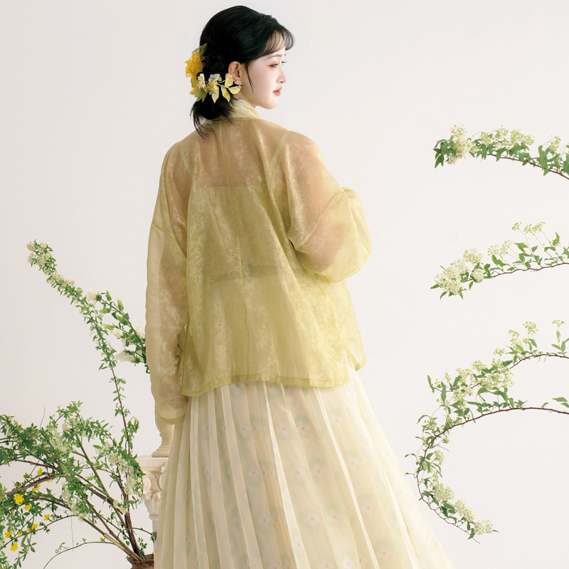 Women-Song-Dynasty-Hanfu-Qiyao-Ruqun-Casual-Elegant-Set-3 Women Song Dynasty Hanfu Qiyao Ruqun Casual Elegant Set
