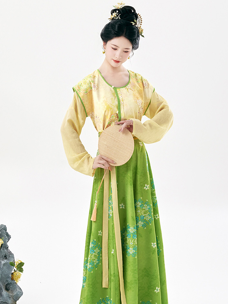Traditional Tang Dynasty Women Hanfu Outfit Vintage Style