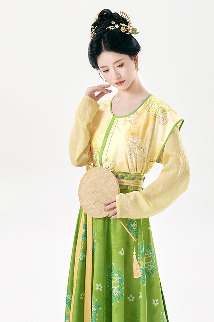 Traditional Tang Dynasty Women Hanfu Outfit Vintage Style